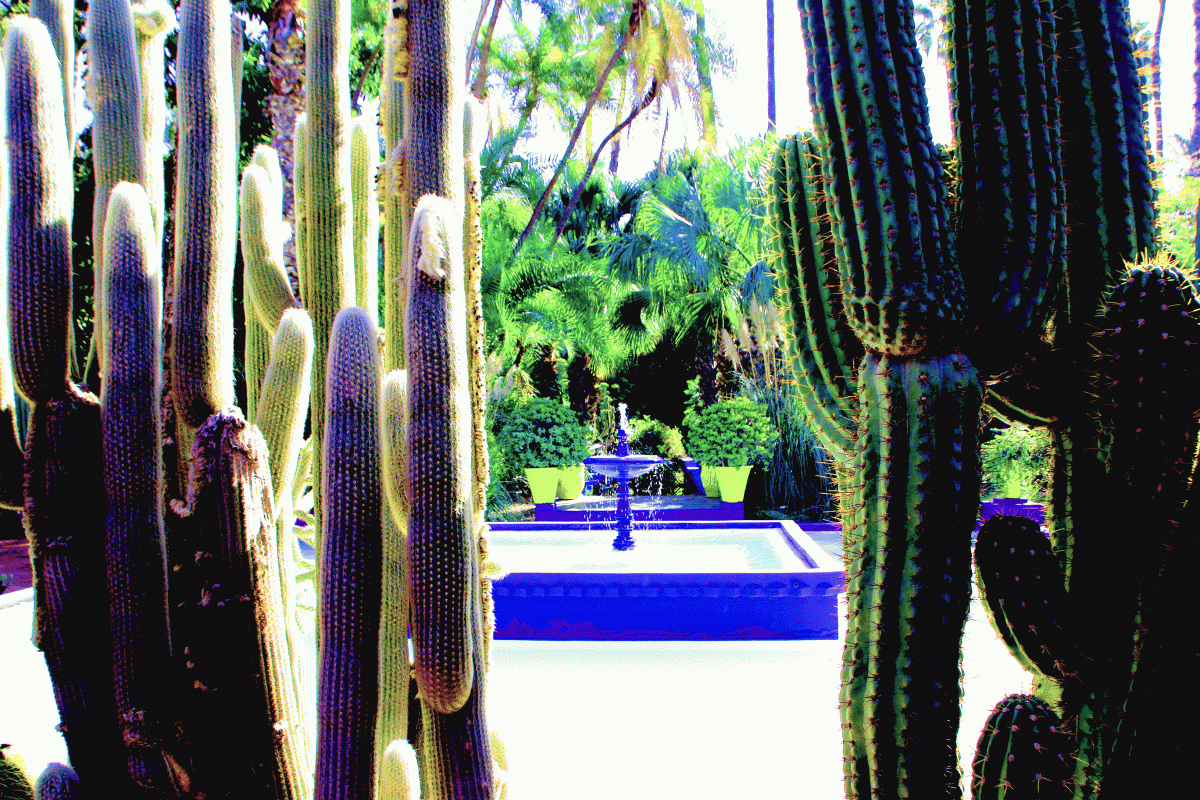 jardin majorelle_brunnen
